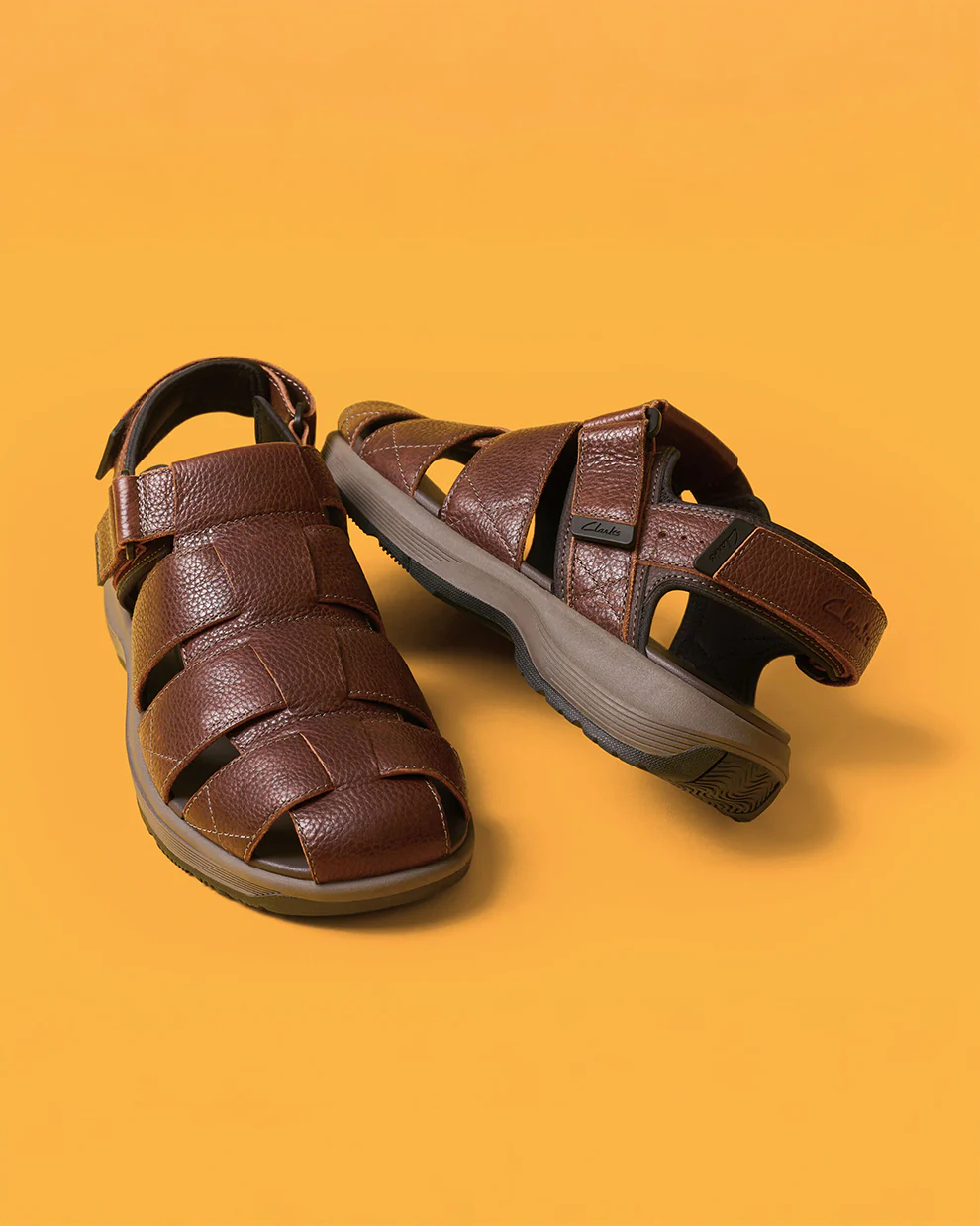 Guideview Cove Dark Brown - Image 2