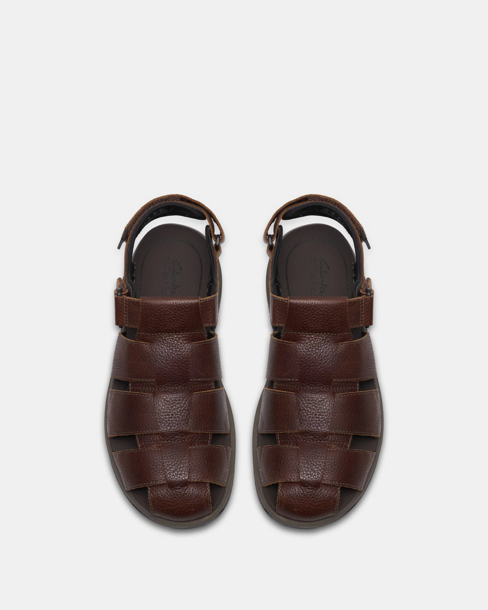 Guideview Cove Dark Brown - Image 6