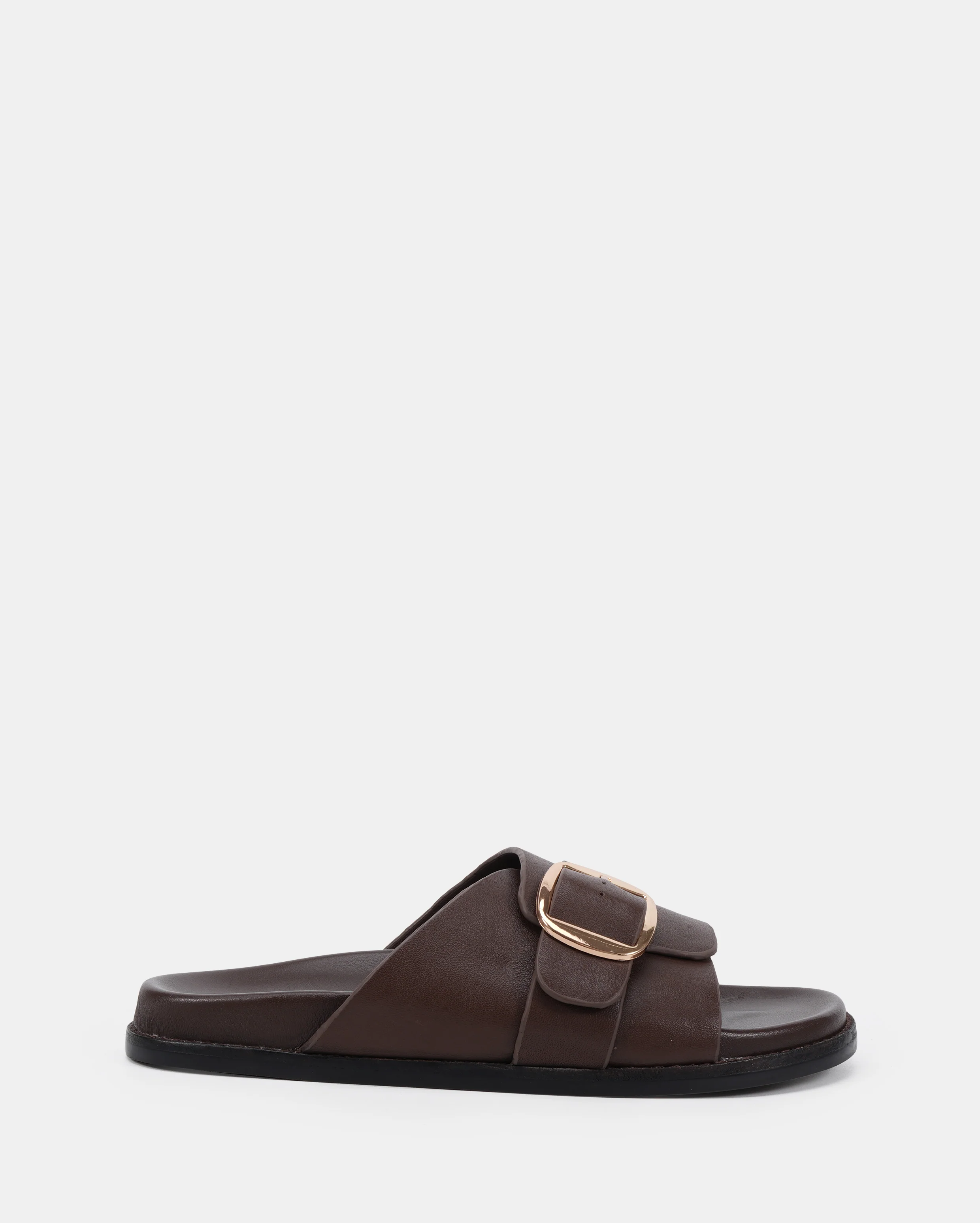 Sienna Chocolate