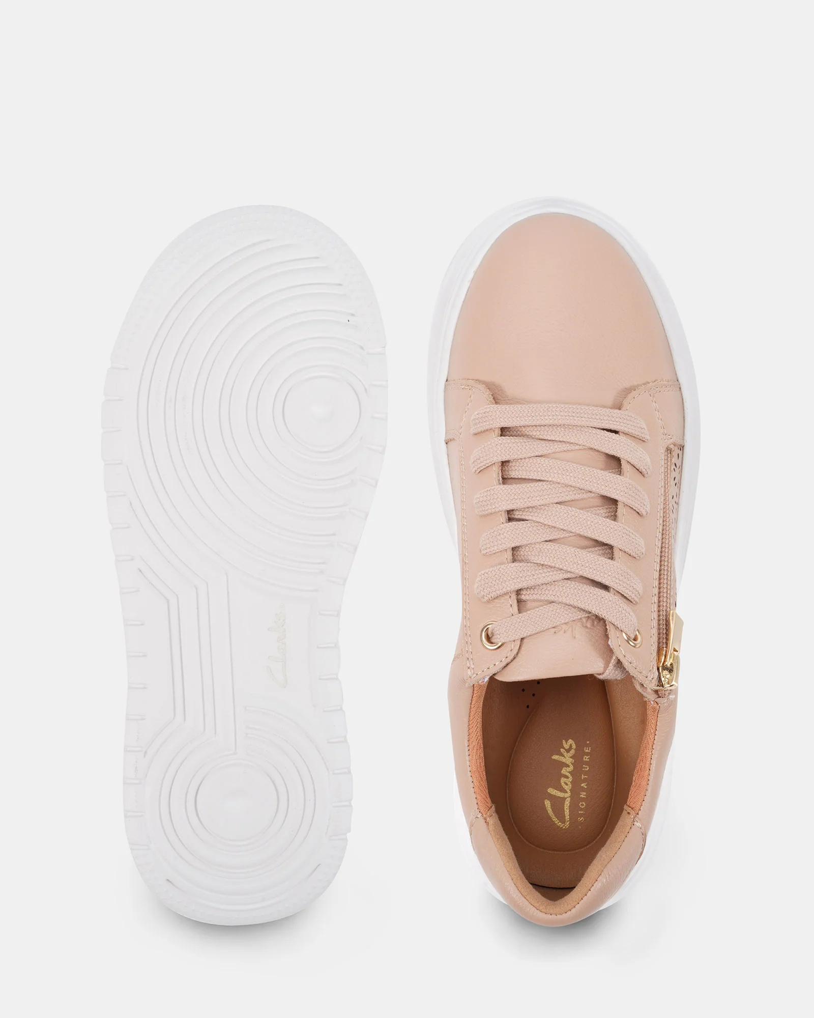 Zitti Blush - Image 5